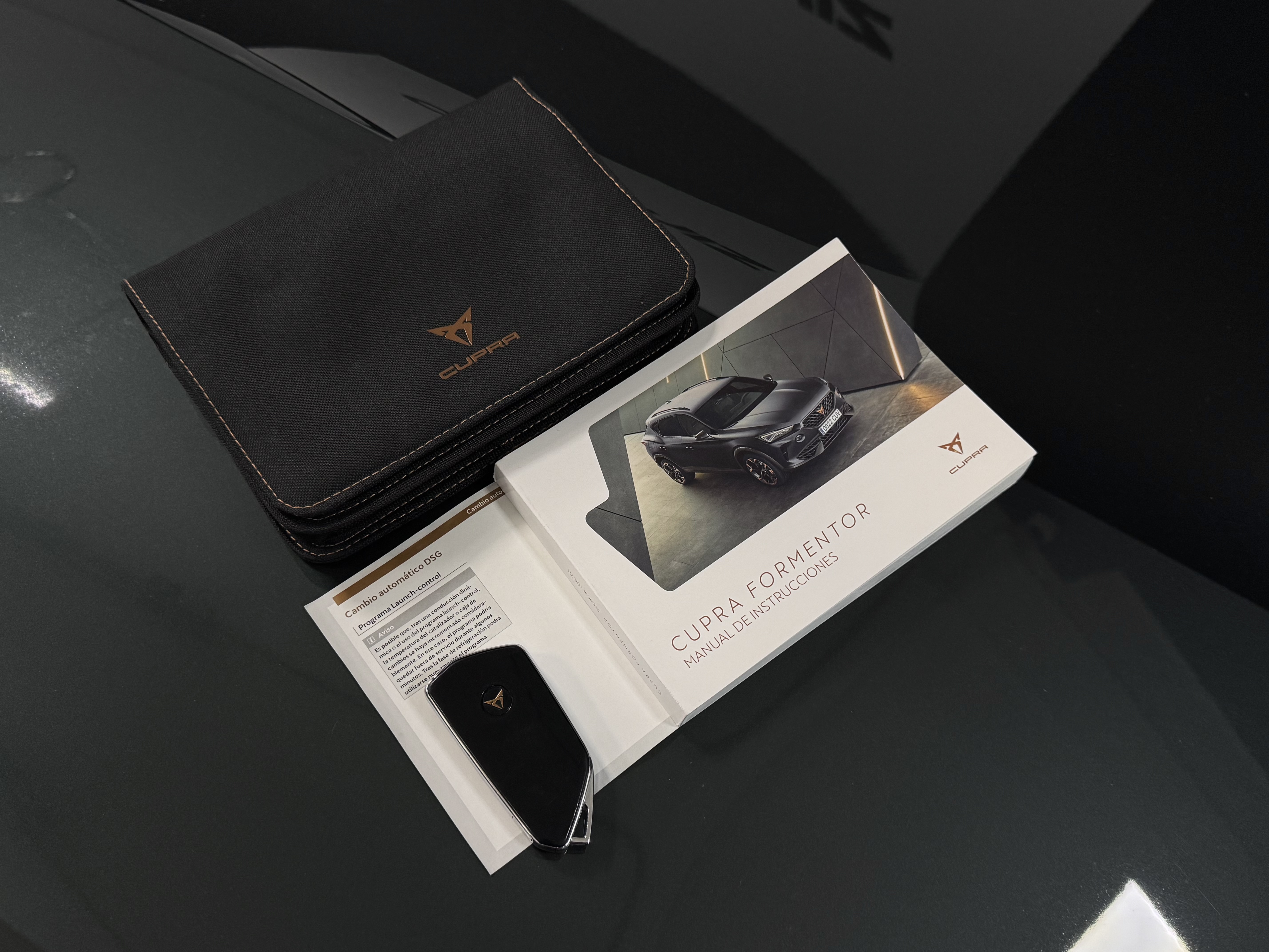 CUPRA Formentor VZ 2.0 TSI DSG 4Drive - 2022 15