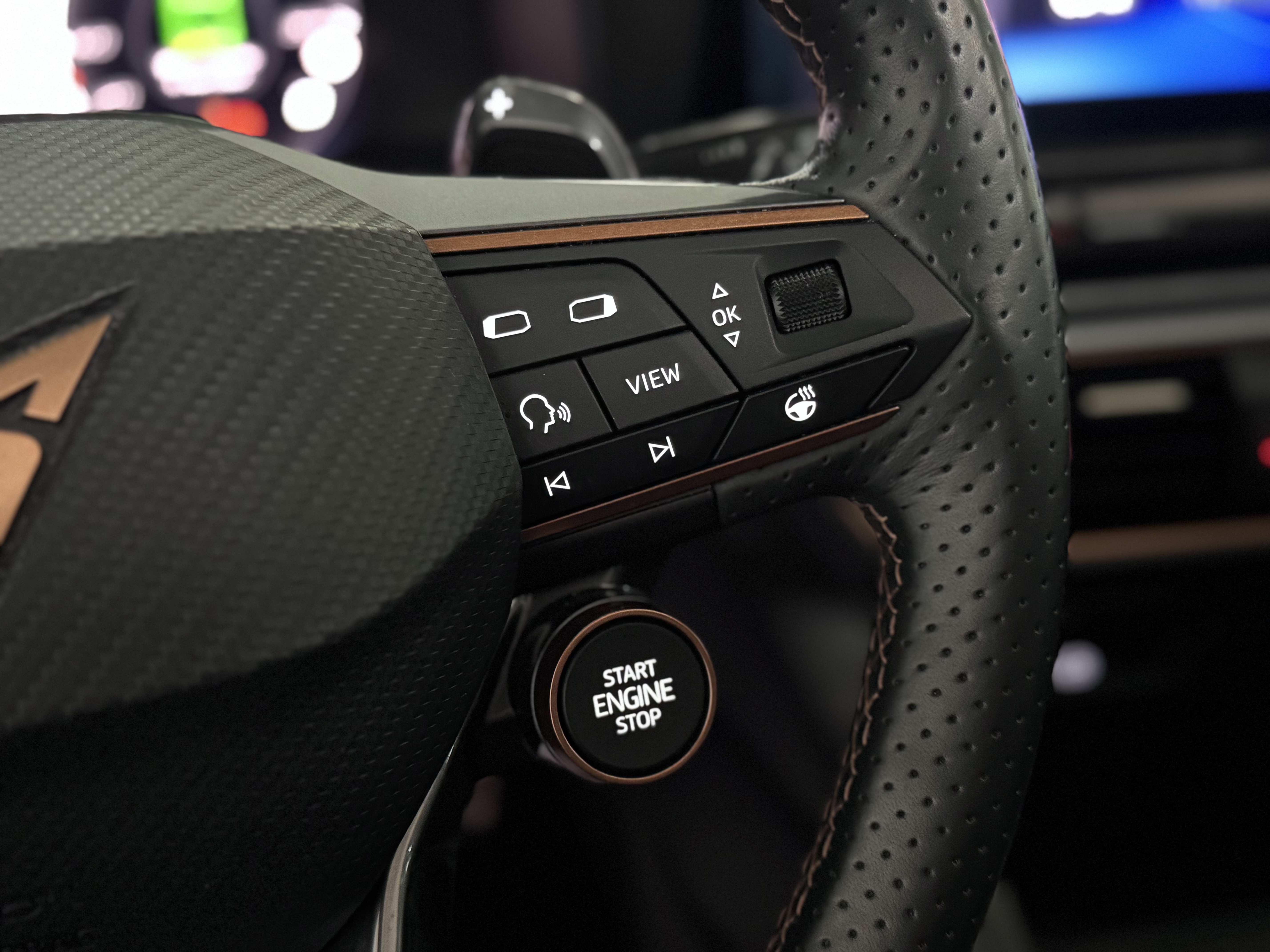 CUPRA Formentor VZ 2.0 TSI DSG 4Drive - 2022 33