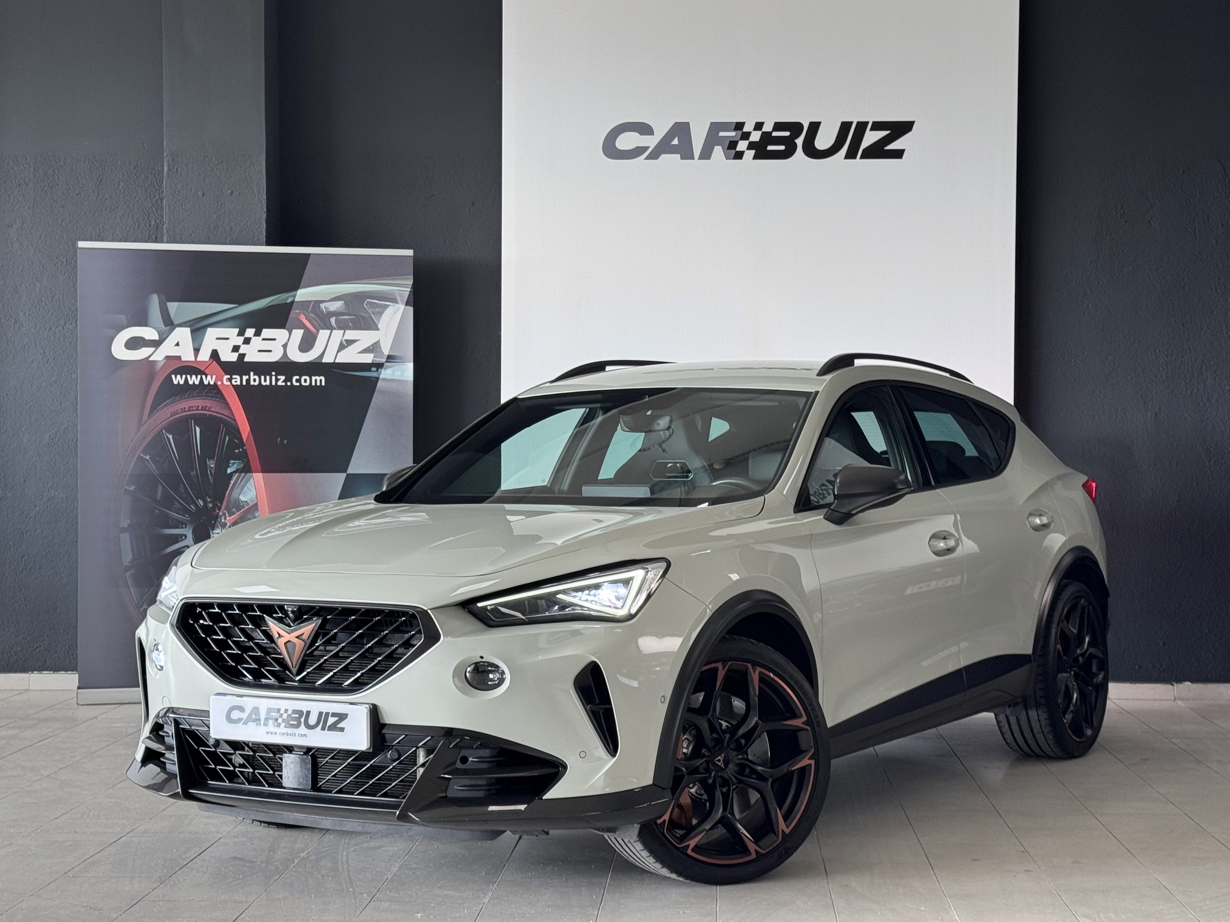 Cupra Formentor VZ5 Taiga Grey 4Drive DSG - 2023