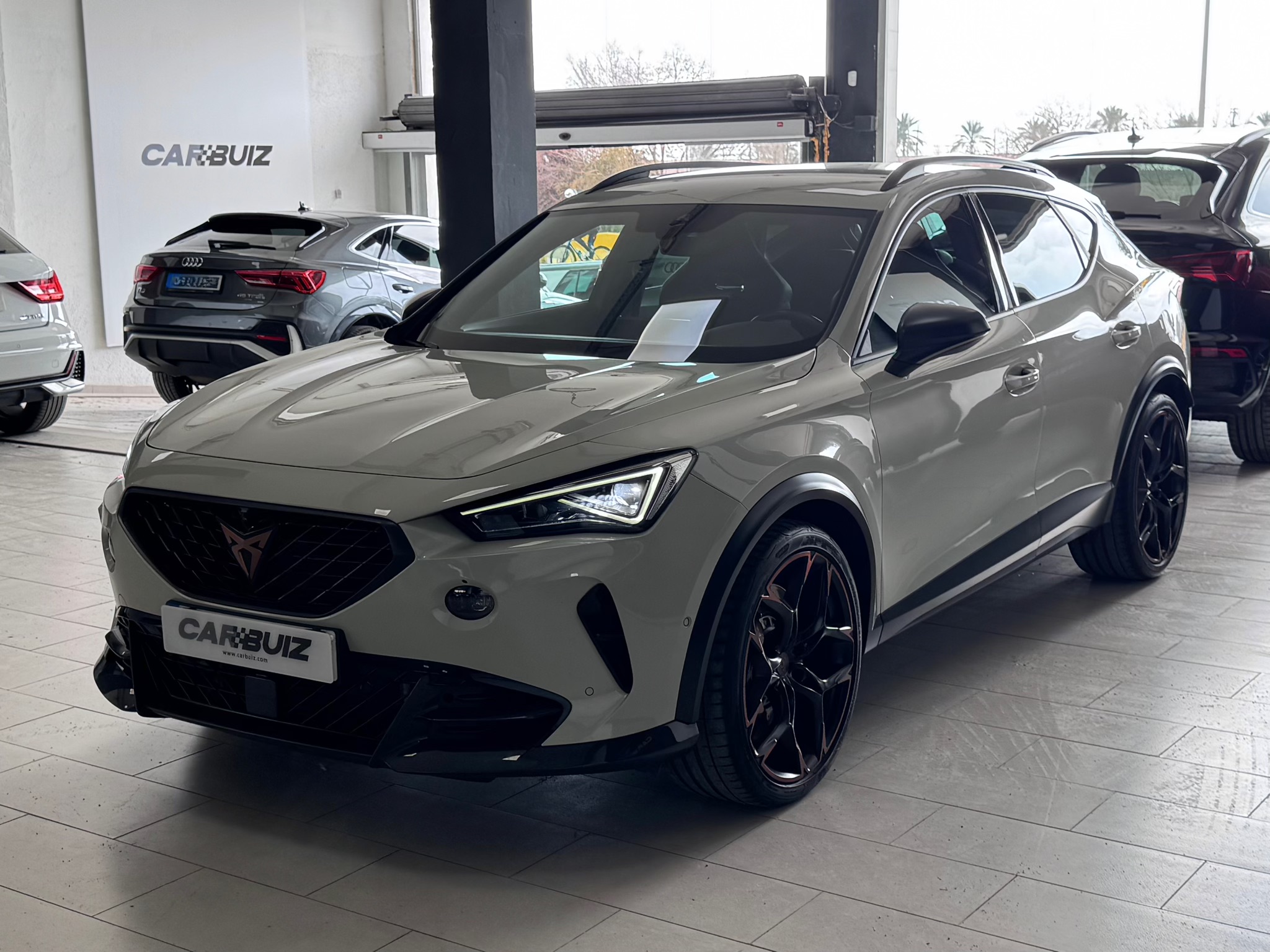 Cupra Formentor VZ5 Taiga Grey 4Drive DSG - 2023 21