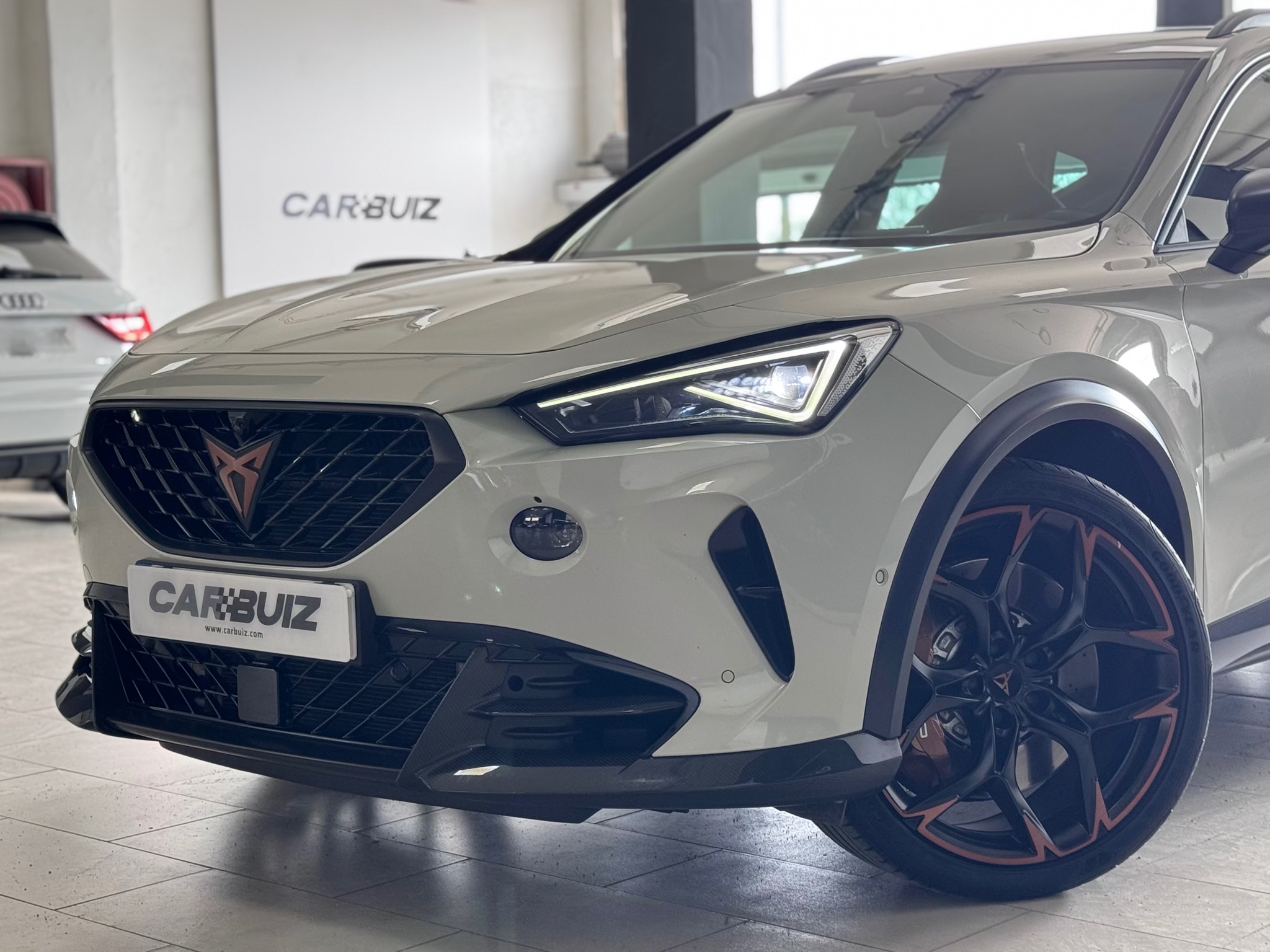 Cupra Formentor VZ5 Taiga Grey 4Drive DSG - 2023 22