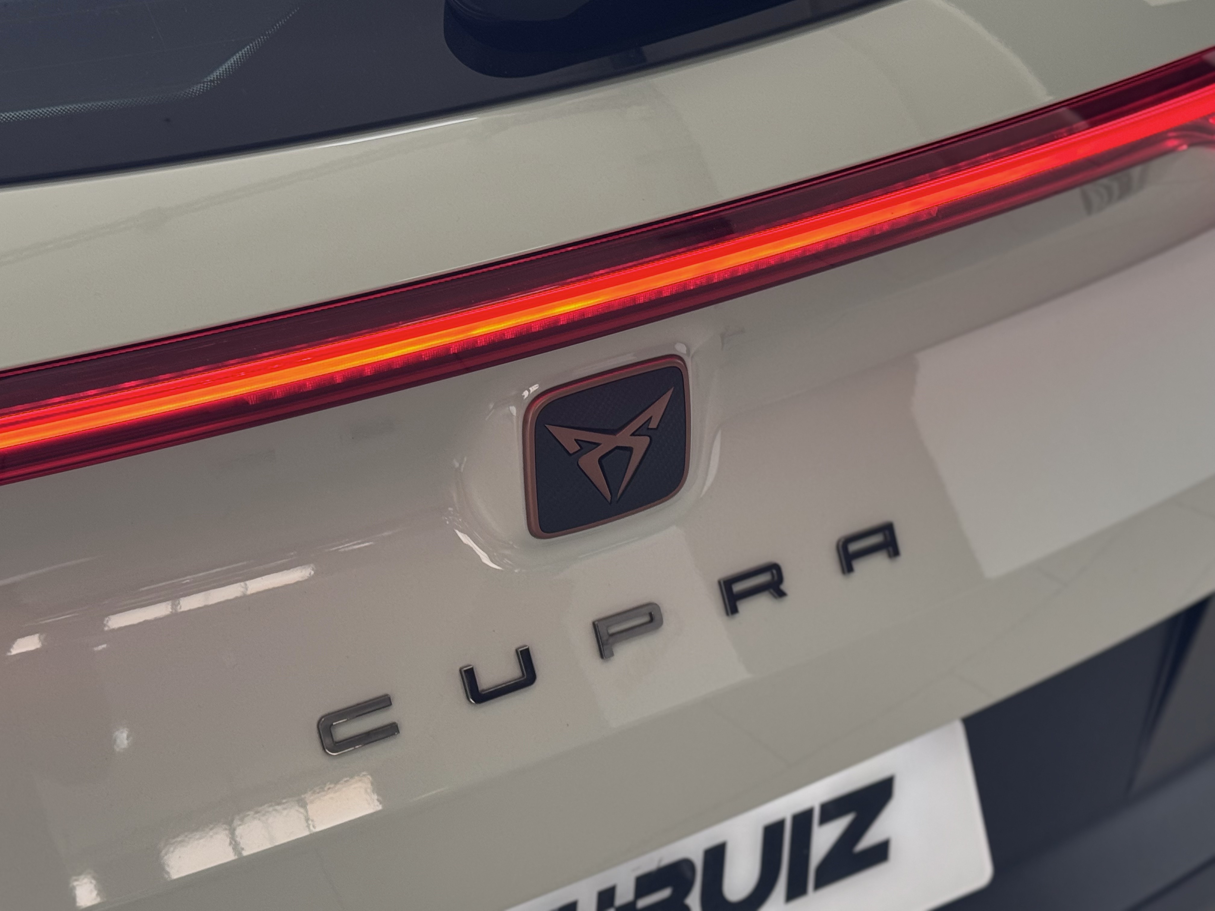 Cupra Formentor VZ5 Taiga Grey 4Drive DSG - 2023 23