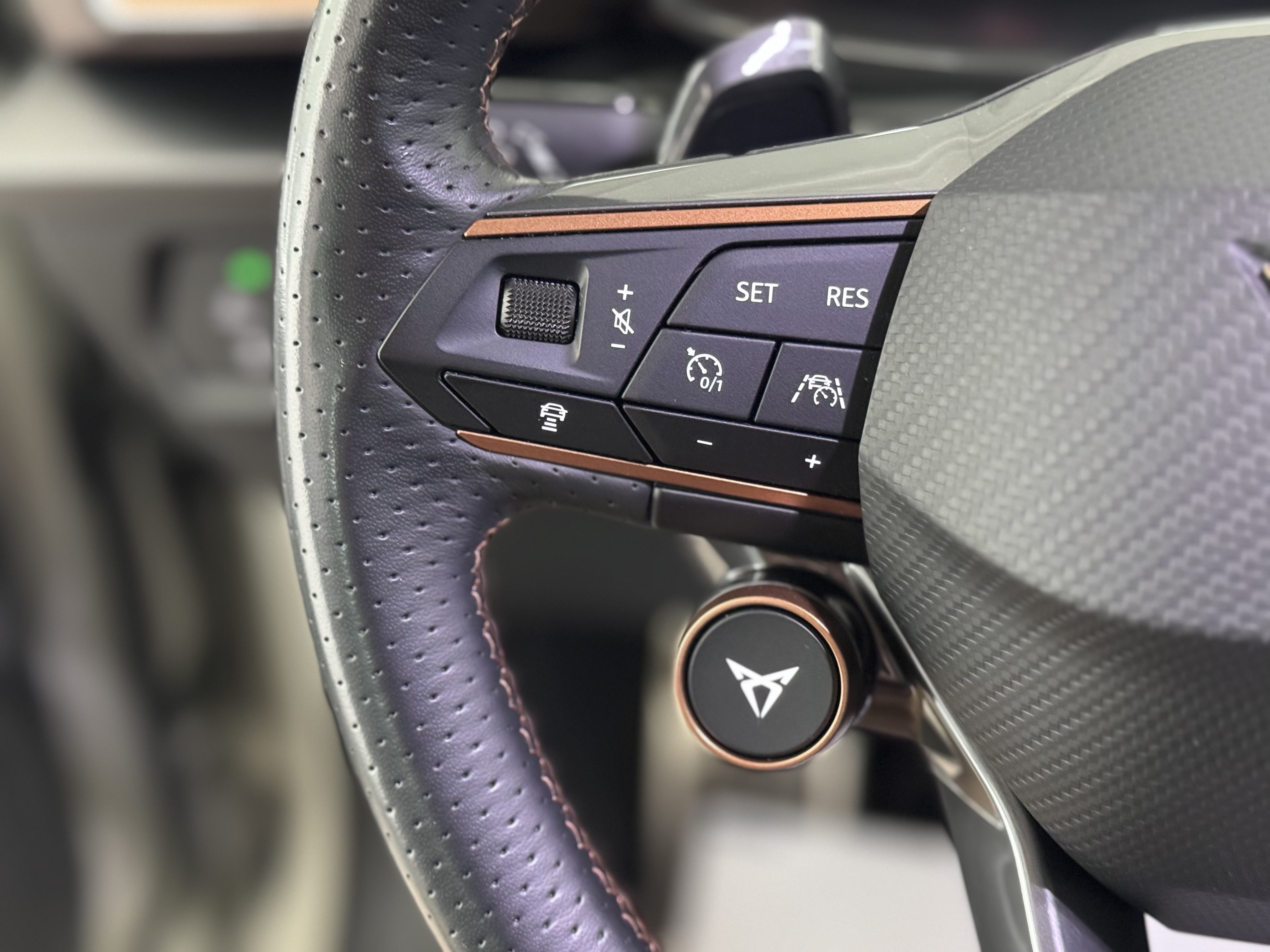 Cupra Formentor VZ5 Taiga Grey 4Drive DSG - 2023 36